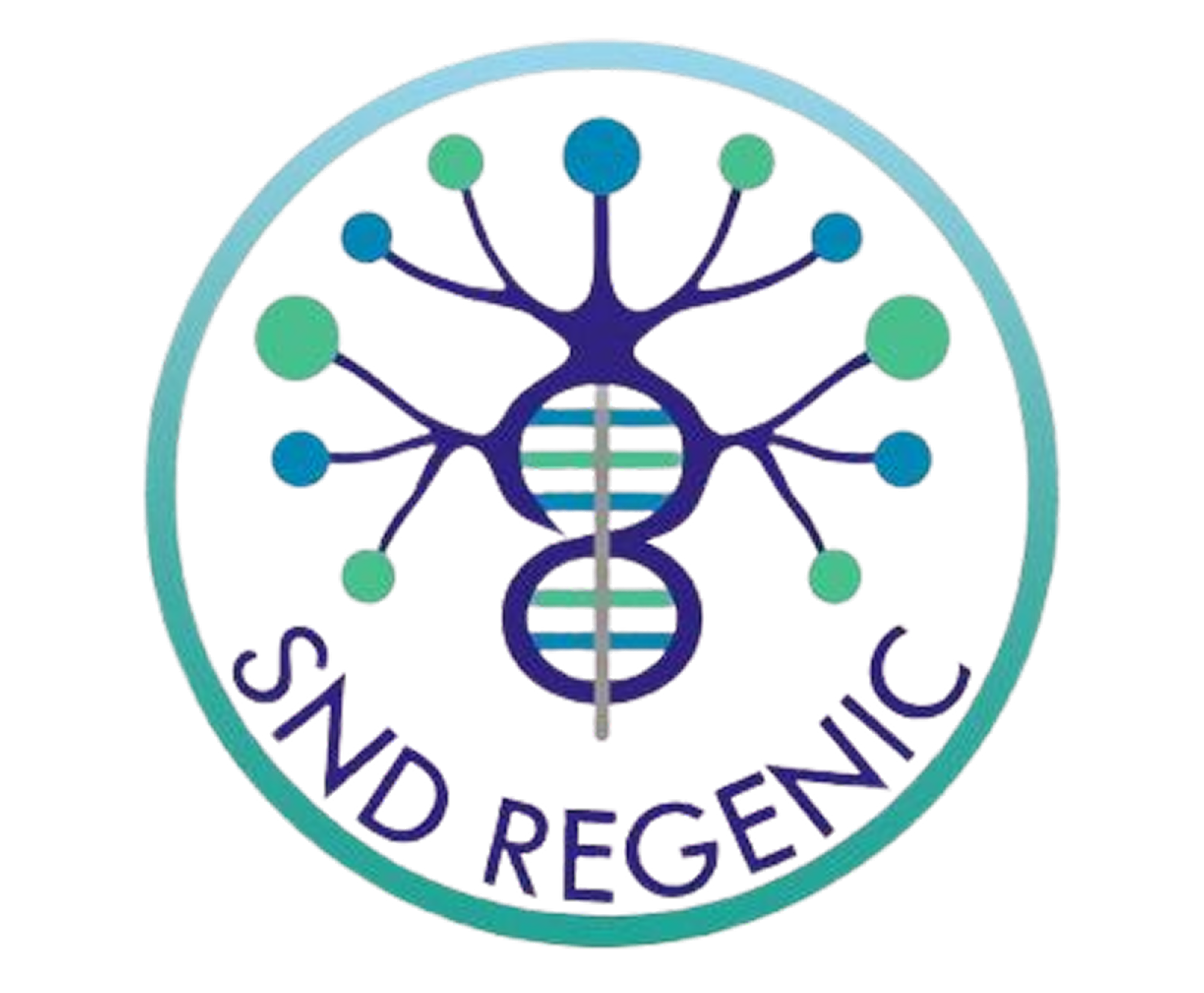 SND Regenic Research Labs Pvt. Ltd., India Logo